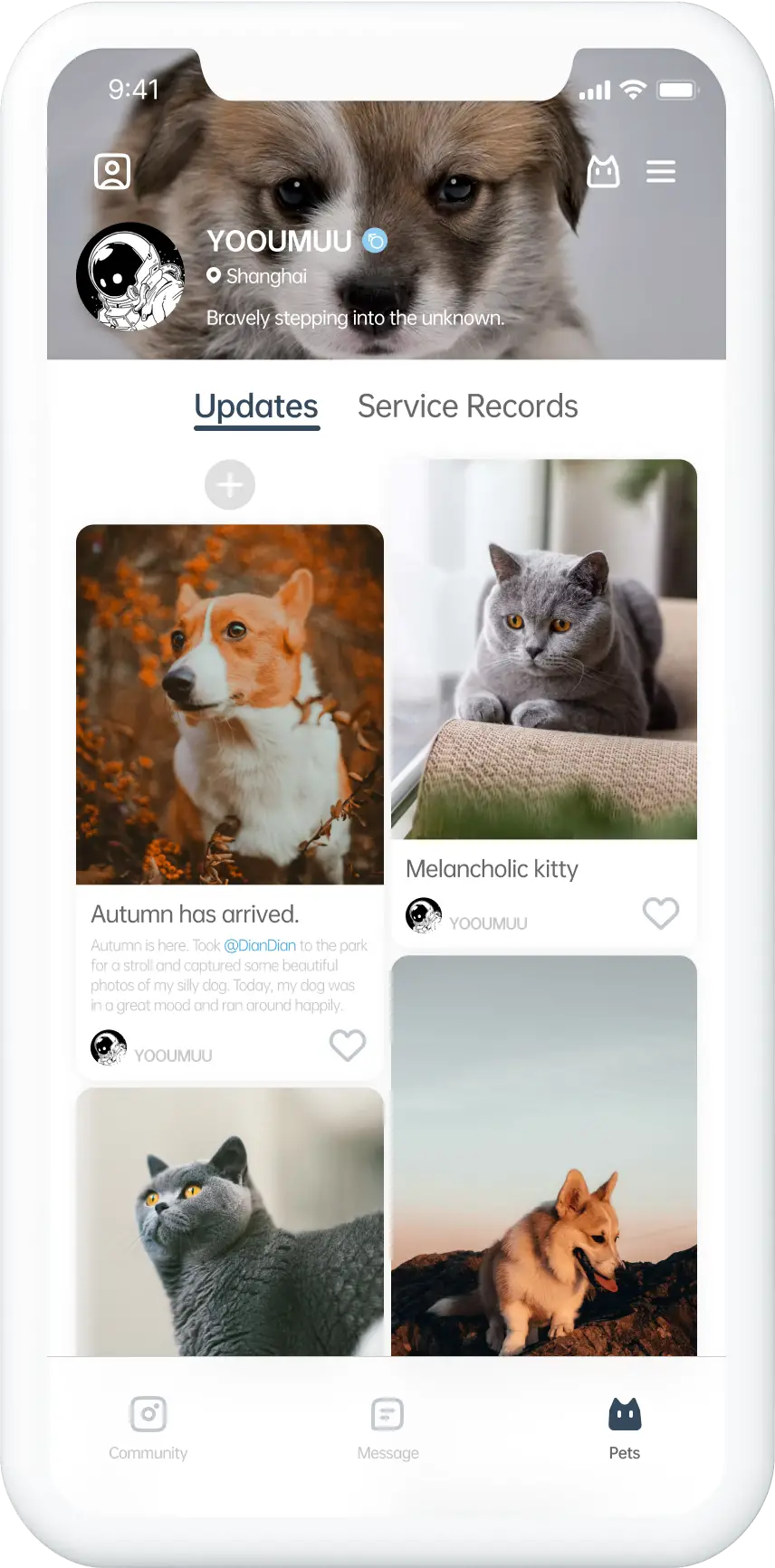 PawsomeCare app prototype.