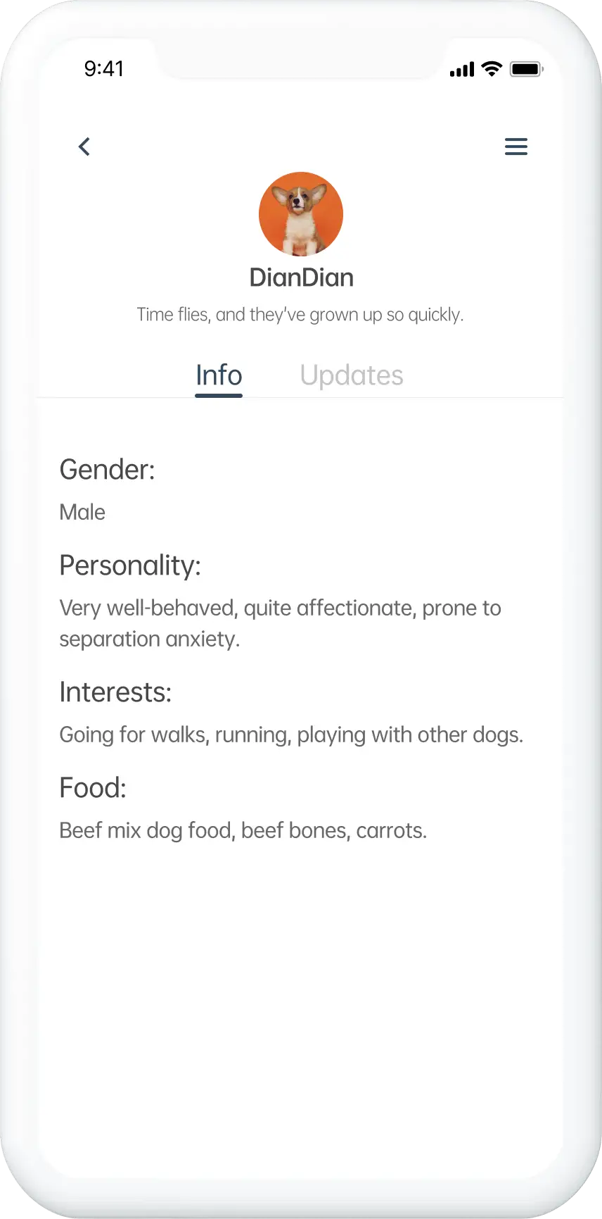 PawsomeCare app prototype.